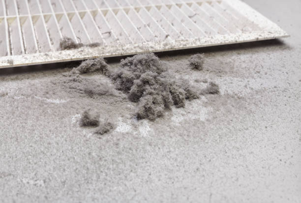 Best Air Duct Sanitizing Services  in Shamrock, TX