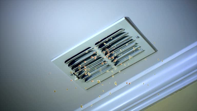 Best Affordable Air Duct Cleaning  in Shamrock, TX